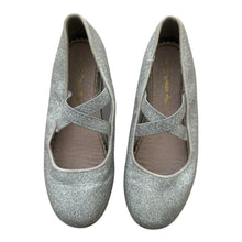 Cargar imagen en el visor de la galería, Ballerinas Plateadas
